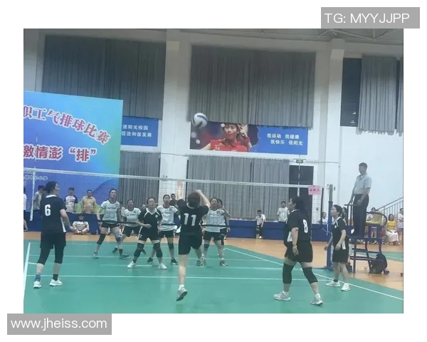 排球盛宴:深入了解杭州排球队的默契与协作精神