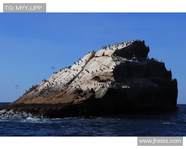 从零开始：极限运动比赛经验完全攻略